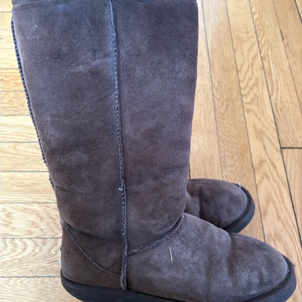 Ugg Brown Suede Winter Boots
